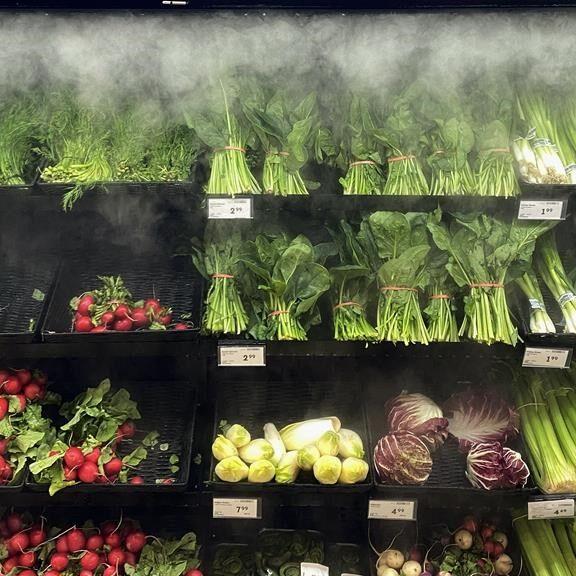 Grocers called back to Parliament to testify about plans to stabilize prices